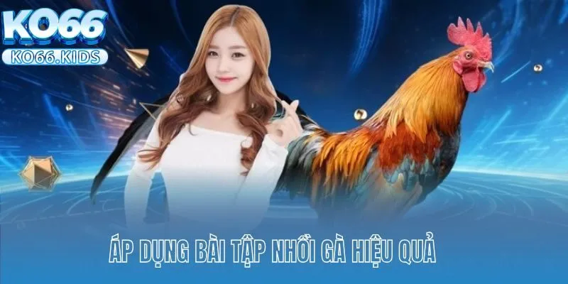 Vảy Gà Huyền Trâm Được Sư Kê Săn Đón Nhiệt Tình Hiện Nay 4 Áp dụng bài tập nhồi gà hiệu quả